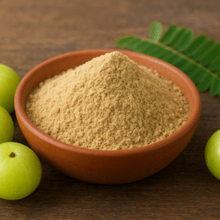 ChatGPT Image Oct 25, 2025, 01_49_18 PM