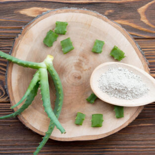 pieces-aloe-vera-leaves-wooden-coaster